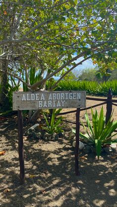 a sign that is in the sand near some trees and bushes with plants around it