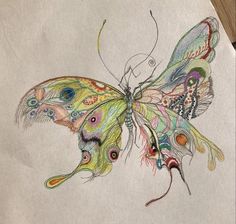 a drawing of a colorful butterfly with feathers on it's wings and an open wing