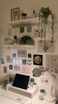 a white desk topped with a laptop computer next to a plant filled wall mounted above it