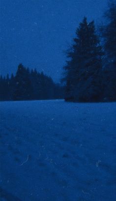 a snowboarder is going down a snowy hill at night with trees in the background