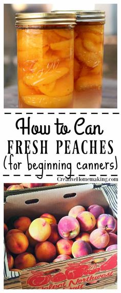 how to can fresh peaches for beginners in canning with text overlay that reads, how to can fresh peaches for beginners