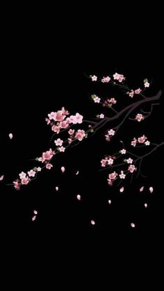 a branch with pink flowers on it against a black background