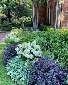 the garden is full of different types of flowers and plants, including hydrangeas