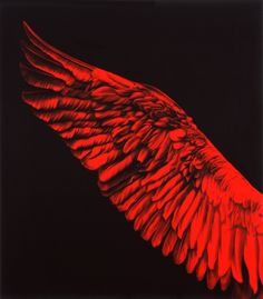 a large red bird is flying in the air