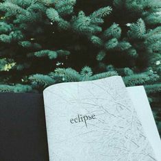 an open book with the word eclipse written on it sitting next to a pine tree