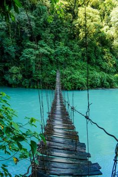 a long wooden bridge over a river surrounded by green trees in the forest with blue water