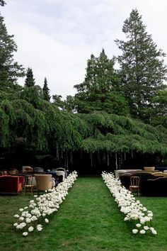 a long row of chairs sitting on top of a lush green field next to trees