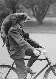 a man riding a bike with a dog on his back