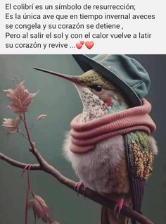 a bird with a hat and scarf on it's head sitting on a branch