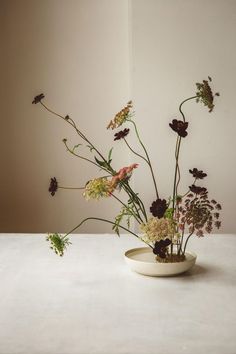 an arrangement of dried flowers in a white bowl on a table top with a wall behind it