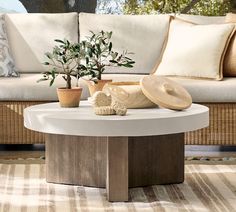 a living room with couches, table and potted plants on the coffee table