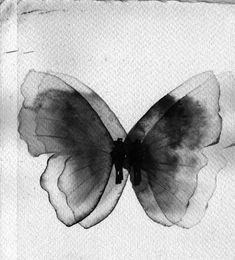 a black and white photo of a butterfly