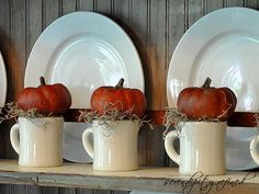 three pumpkins are placed in mugs on a shelf with white plates and silverware