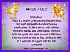 two golden lions with the words aris + leo on it, and an image of them