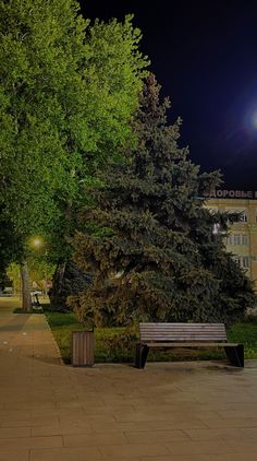 a park bench sitting next to a tree on a sidewalk at night with lights shining in the background