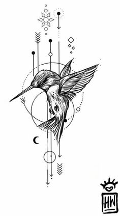 a black and white drawing of a humming bird with arrows on it's back