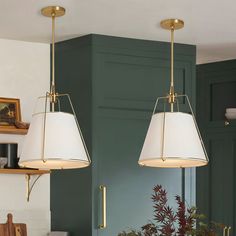 two lamps hanging from the ceiling in a kitchen with green cupboards and potted plants