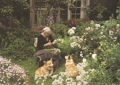 an old woman sitting in a garden with two dogs