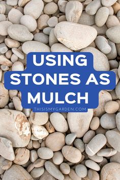 Up close image of small smooth rocks that will be used as ground-covering mulch under trees or shrubs. From thisismygarden.com. Stone Mulch, Rock Mulch, Rock Flower Beds, Stone Flower Beds, Garden Mulch, Stone Garden Paths, Front Flower Beds, Mulch Landscaping, Dry Creek Bed