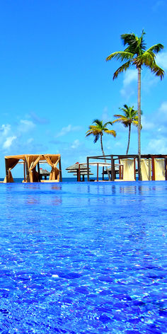 an empty swimming pool surrounded by palm trees