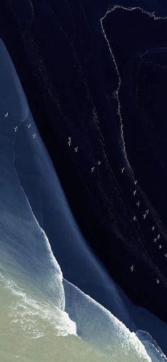 some birds are flying over the water and icebergs in the background, as seen from above