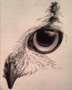 a drawing of an owl's eye is shown in black and white, while the image appears to be drawn with colored pencil