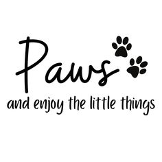 paws and enjoy the little things