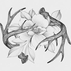 a drawing of flowers and antlers on a white background