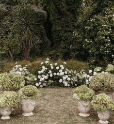 three large white vases filled with flowers in the middle of a garden area surrounded by trees and bushes