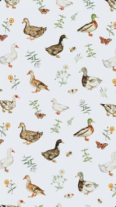 ducks and flowers on a white background