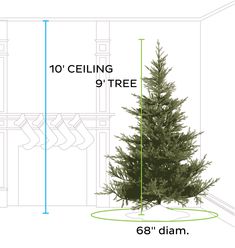 a christmas tree is shown with measurements for the height