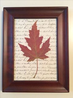 a red leaf sitting on top of a piece of paper next to a framed photo