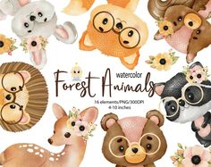 watercolor forest animals clipart for commercial use