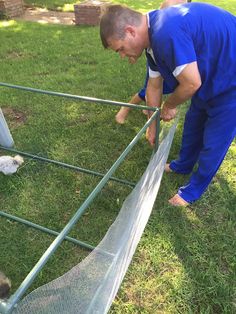 a man bending over to pet a small dog in a fenced in area with grass