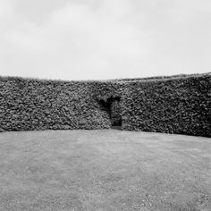 a black and white photo of a wall made out of hedges