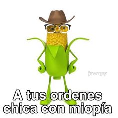 a cartoon corn cob wearing glasses and a cowboy hat with the caption'a tus ordenes chica eon molpha