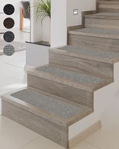 a set of stairs leading up to a living room with potted plant in the corner