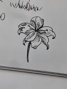 a drawing of a flower on a white board