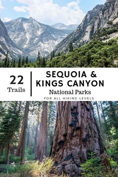 sequia and kings canyon national parks for all hiking levels