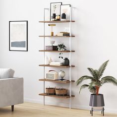 a living room with white walls and wooden flooring, shelves filled with various items