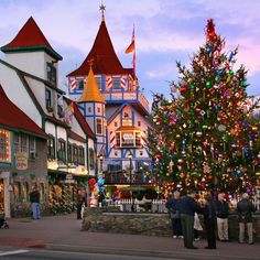 people standing in front of a christmas tree on the side of a road with buildings behind it