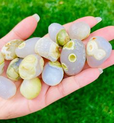 CRYSTAL Chalcedony with Agate Stone UNDRILLED STONE SHAPE free form natural textures assorted COLOR pale colors in neutral earth tones PIECES 1 PER ORDER SIMILAR TO OR FROM LOT SHOWN, SENT AT RANDOM DRILLED NO SIZE XS MEASUREMENTS 15-30mm White Gobi Eye Agate (1) XL Raw Agate Stone, MONGOLIA Agate, Gobi Desert Agate, Raw Crystal, Rough Gemstone - Rare Chinese Agate One GOBI DESERT stone from MONGOLIA Each piece is unique and no two will look exactly the same. These stones are a very rare offerin Large Agate Geode For Spiritual Purposes, Large Agate Geode For Spiritual Use, Spiritual Agate Geodes With Natural Stones, Healing Agate Geode Gemstones, Agate Properties, Neutral Earth Tones, Cheap Crystals, Gobi Desert, Eye Agate