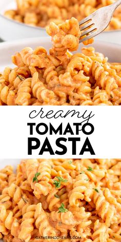 a fork full of creamy tomato pasta with parsley on top and the words creamy tomato pasta above it