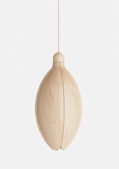 a wooden ornament hanging from a cord