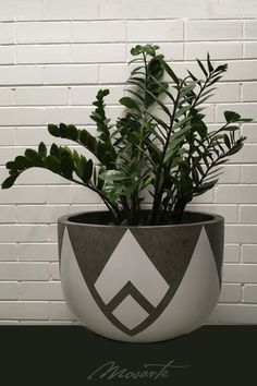 a potted plant sitting in front of a white brick wall