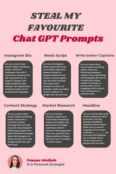 the info sheet for steal my favorite chat git prompts, which includes information about what to do and how to use them