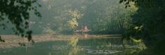 a body of water surrounded by lots of trees and lily paddling in the foreground