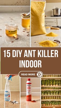 an assortment of diy ant killer indoor pests and insect repellent products