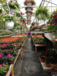 the inside of a greenhouse filled with lots of flowers