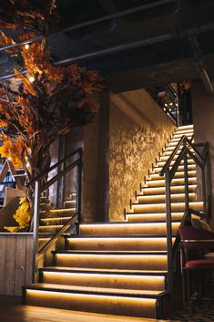 the stairs are lit up with warm lighting